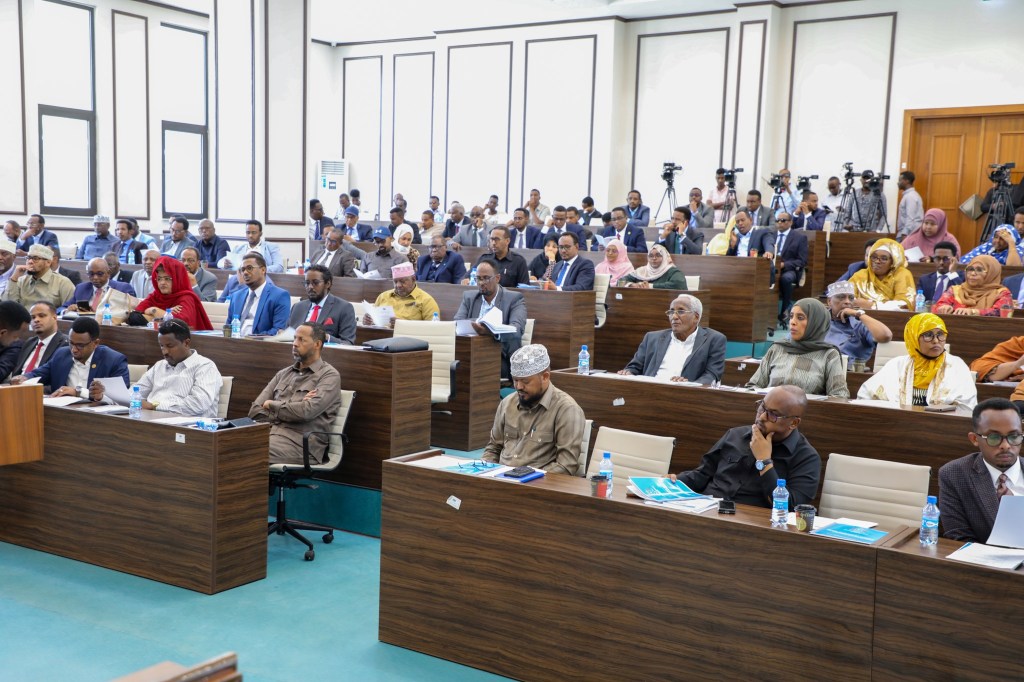 National Consultative Council & Parliament Conundrum — A Failing&nbsp;System