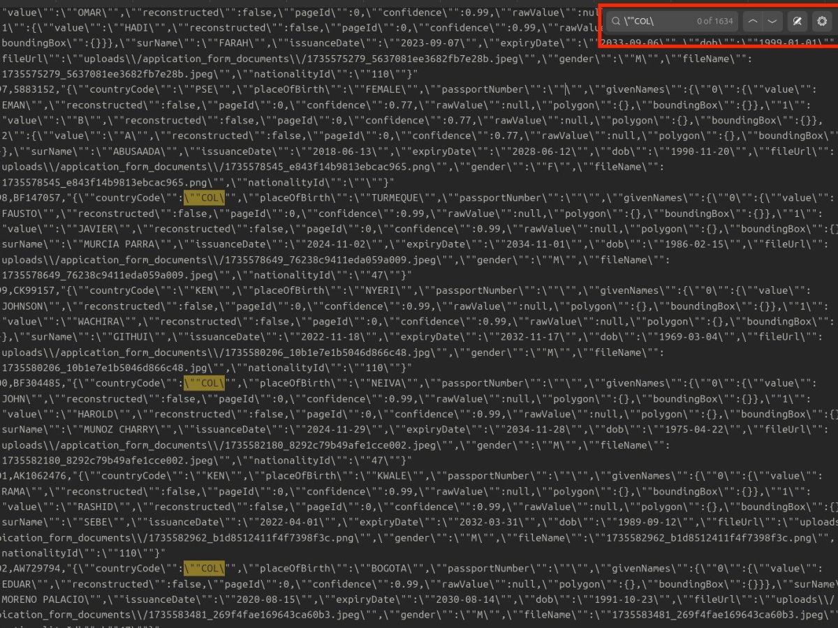 Somalia’s E-Visa – Data Breach&nbsp;Scandal